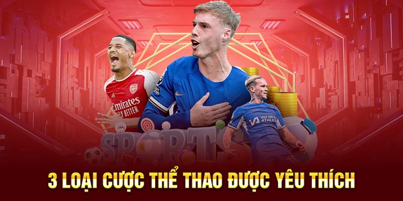 3 loại cược thể thao được yêu thích